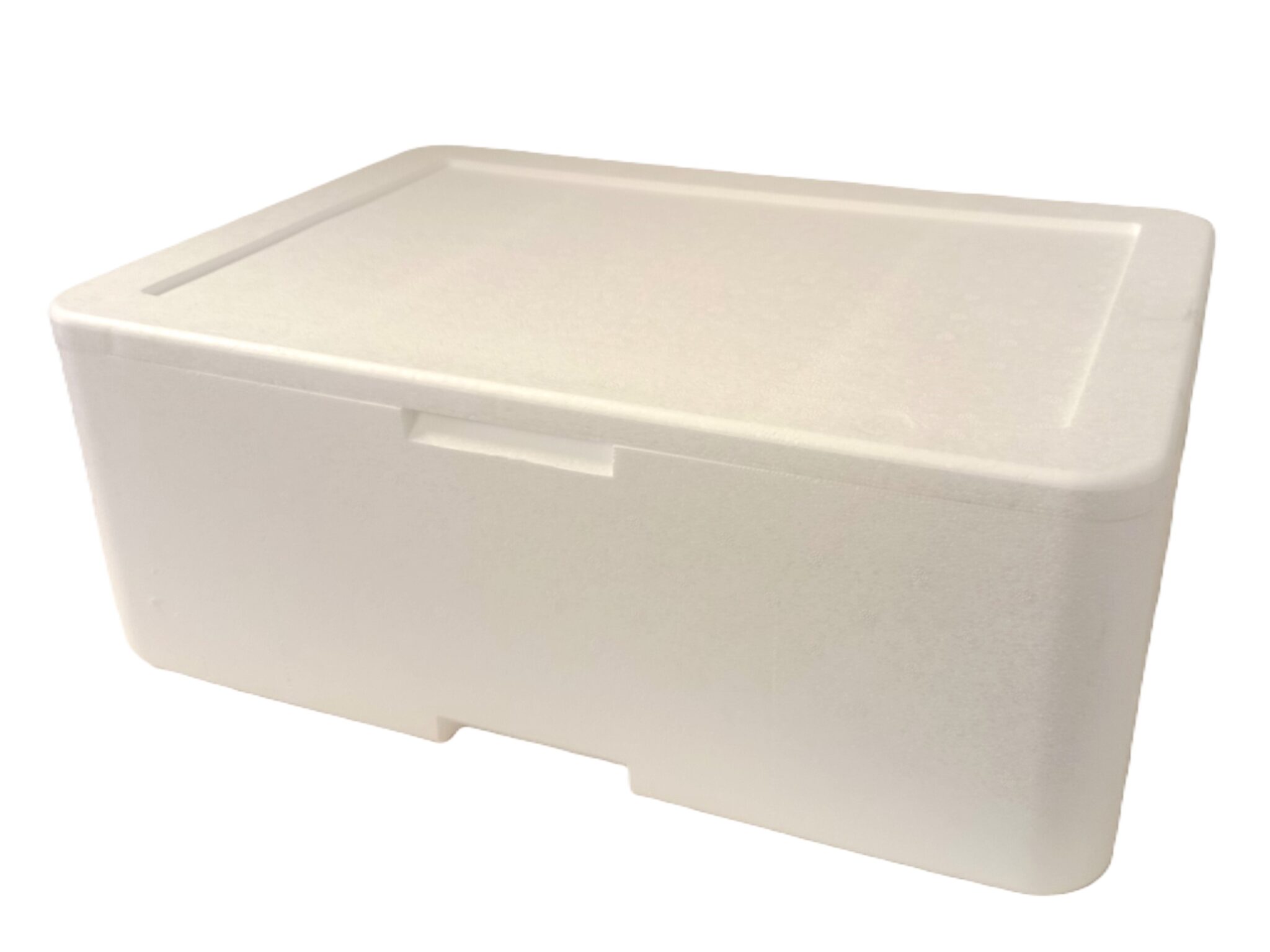 Foto cassetta in polistirolo