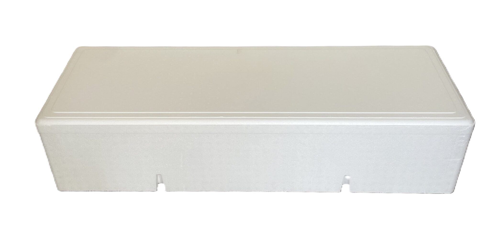 Foto cassetta in polistirolo tonno e palombo